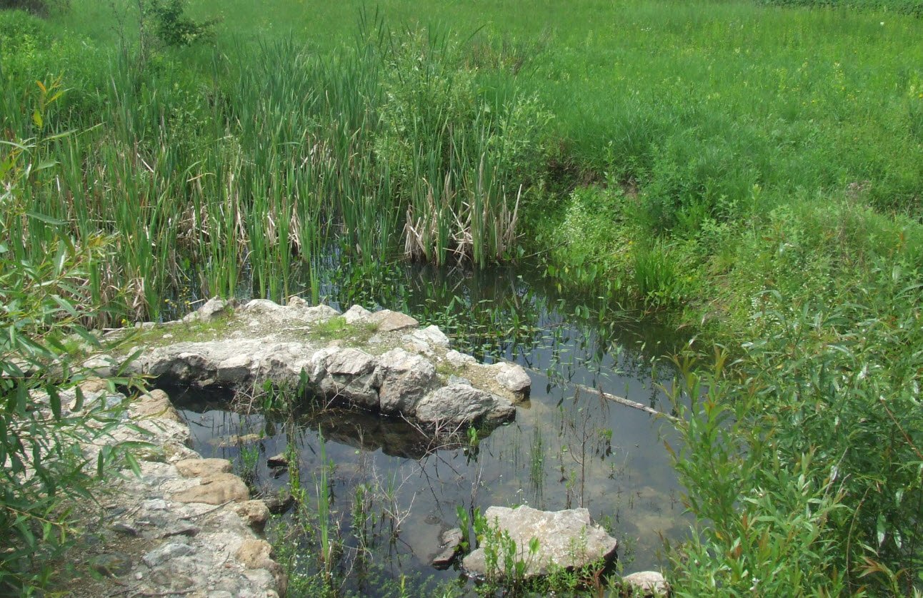 Cetatea Fagetului, Romania, Romania